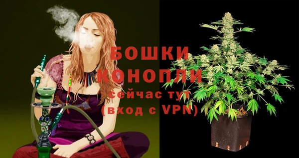 меф Арсеньев