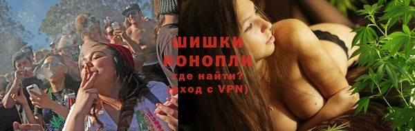 ПСИЛОЦИБИНОВЫЕ ГРИБЫ Баксан