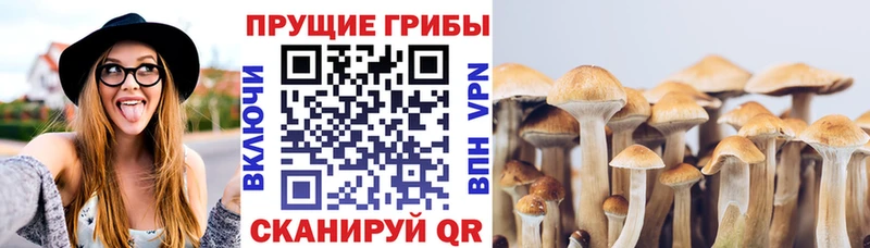 mega зеркало  Окуловка  Псилоцибиновые грибы GOLDEN TEACHER 